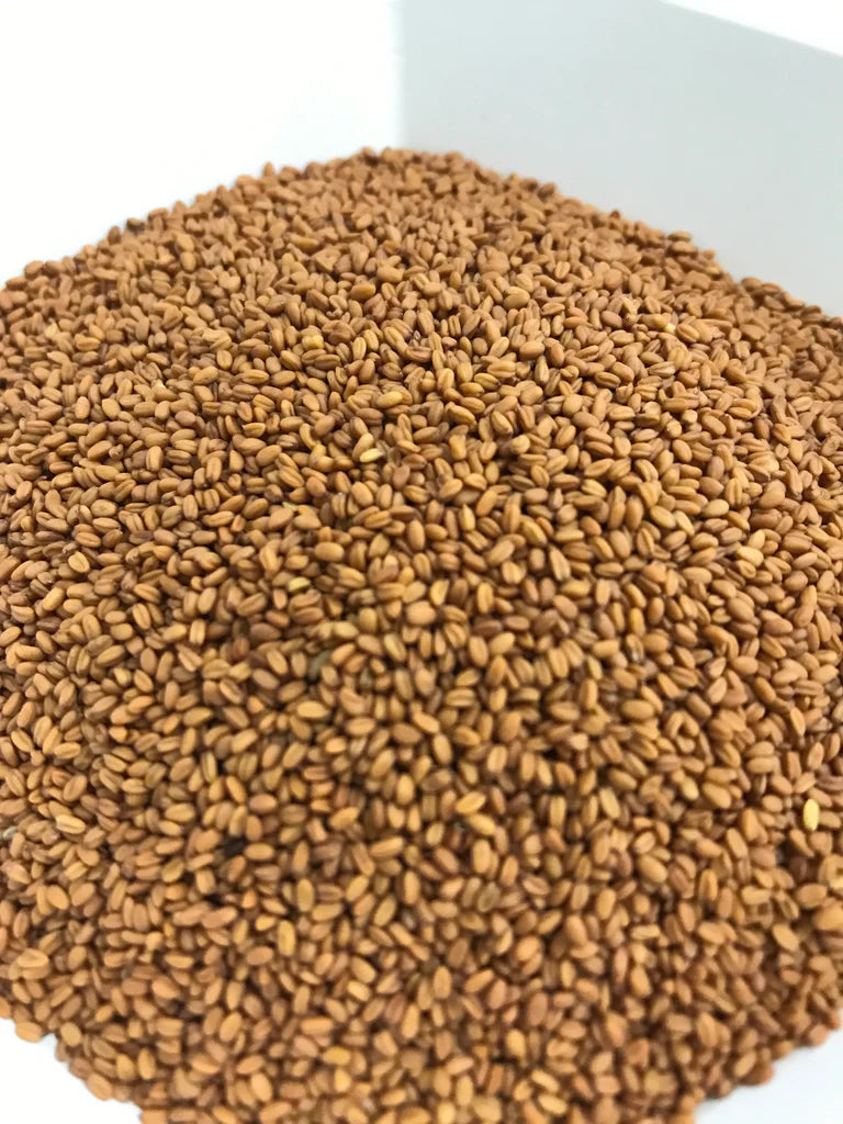 Camelina Sativa Gold