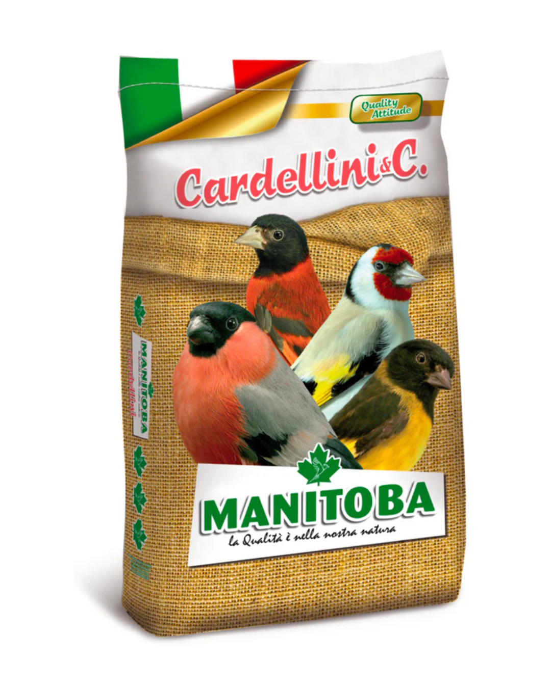 Cardellino Extra