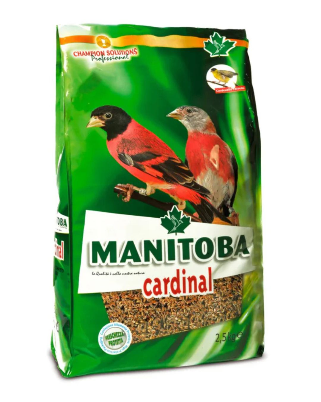 Cardinal