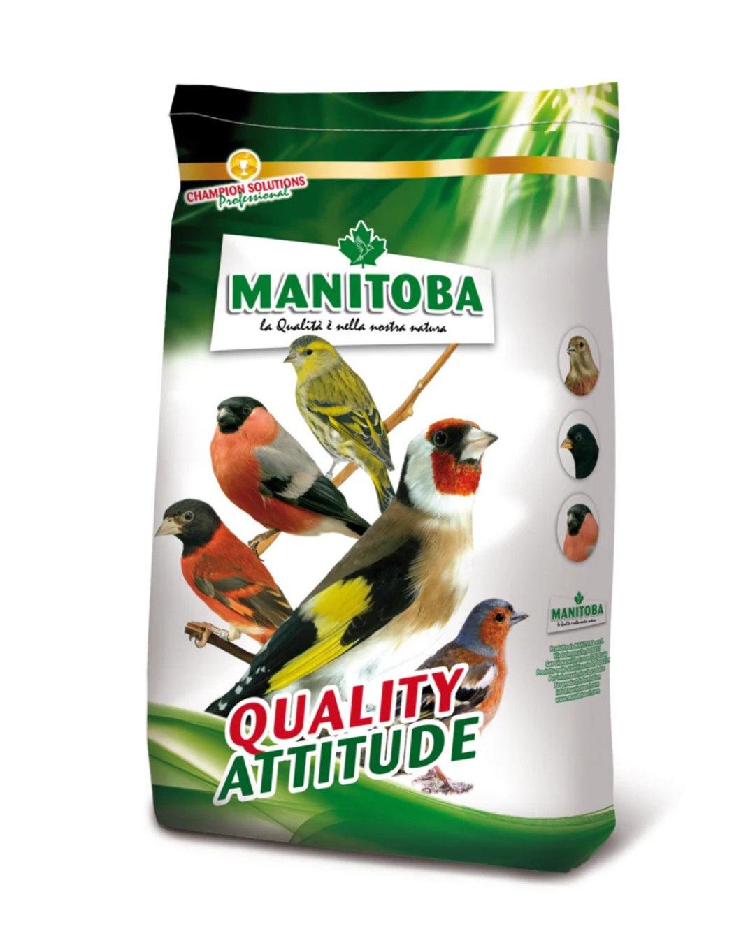 Best Condition for all birds