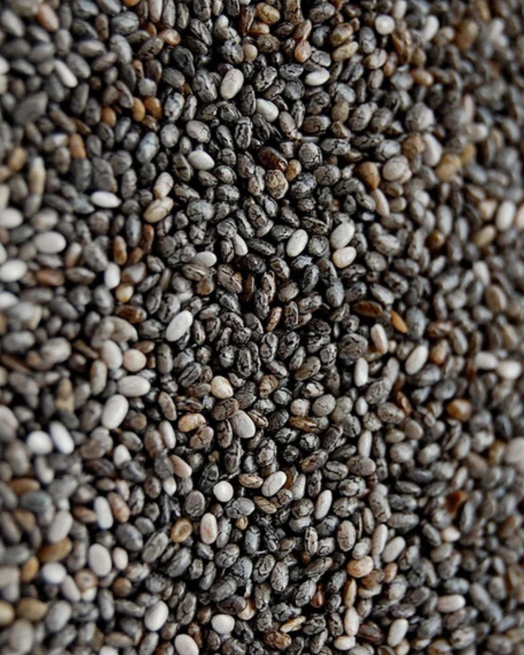 CHIA SEED