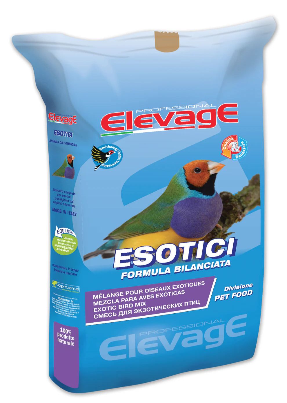 Exotic Basic