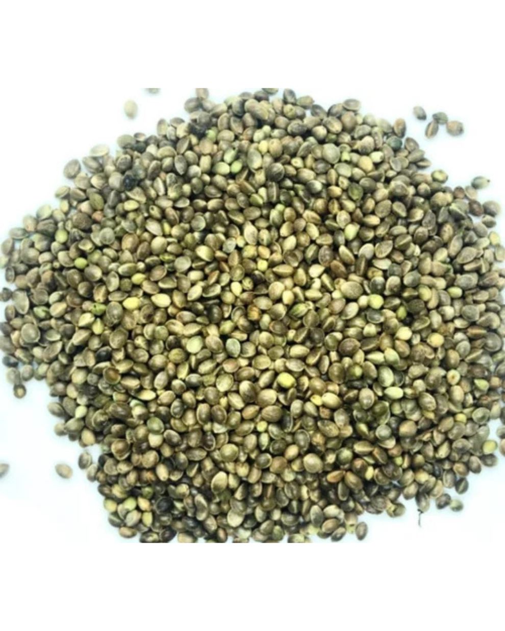 Elevage Hemp Seeds