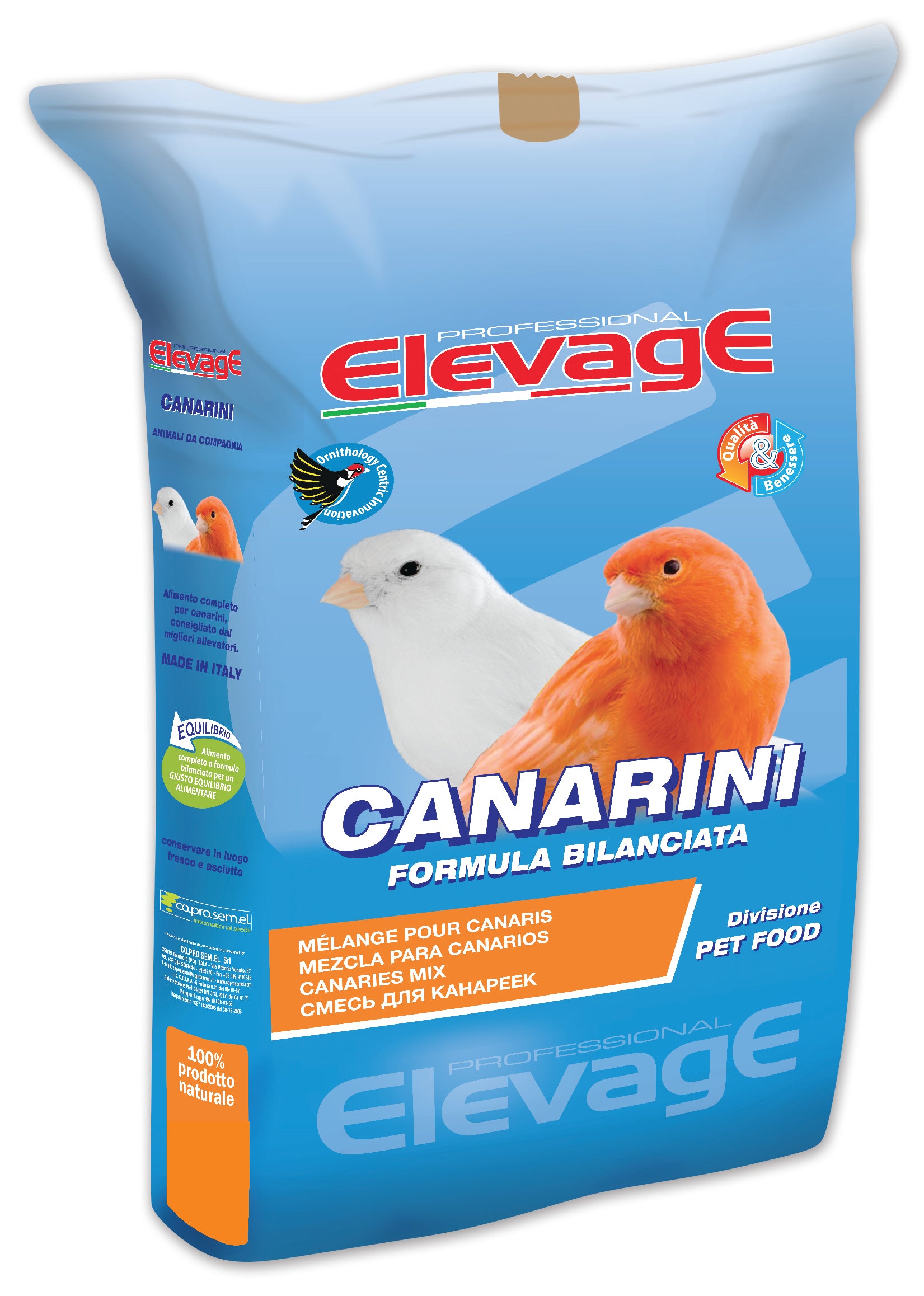 Basic Canary