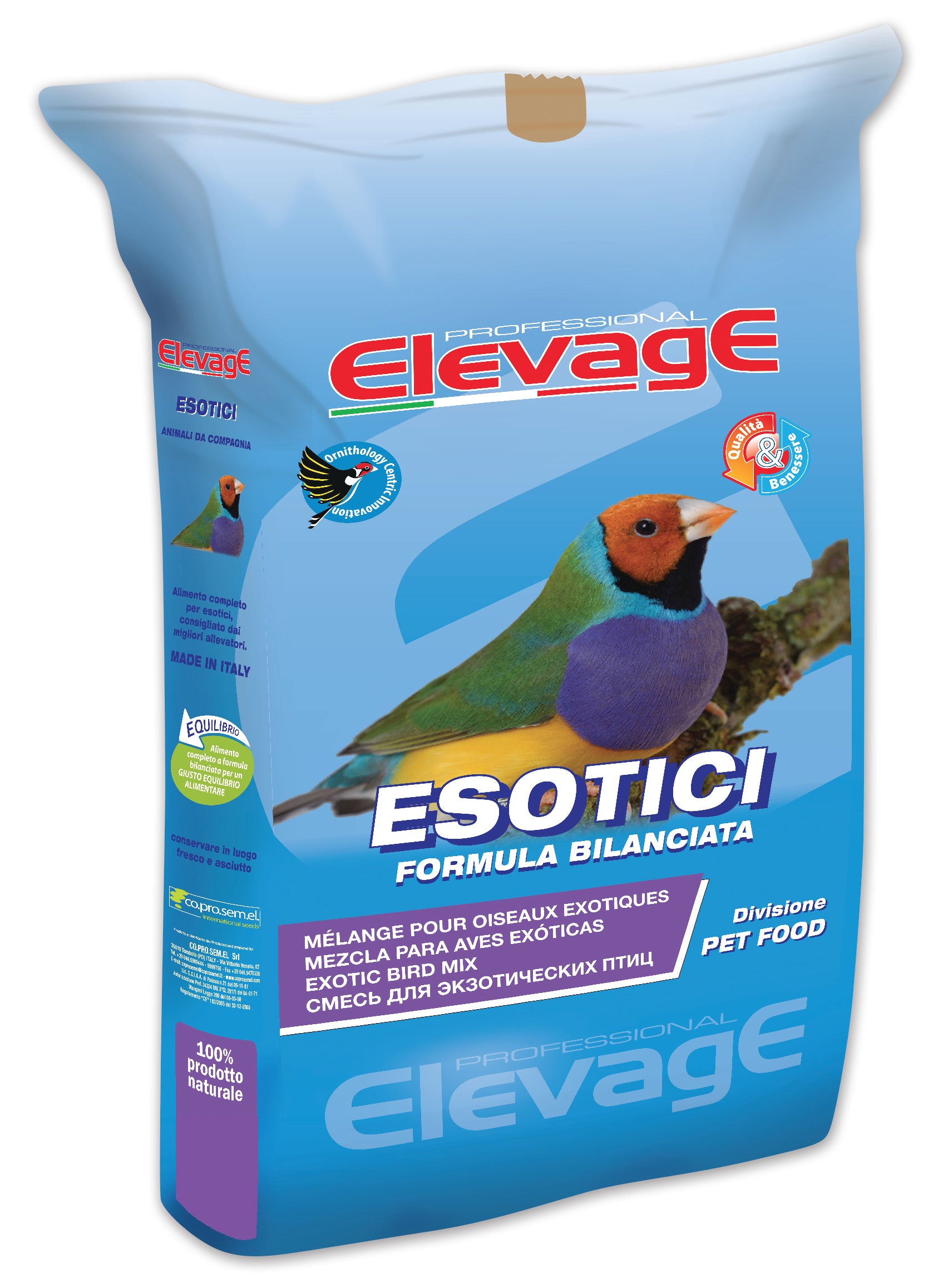 Exotic Extra
