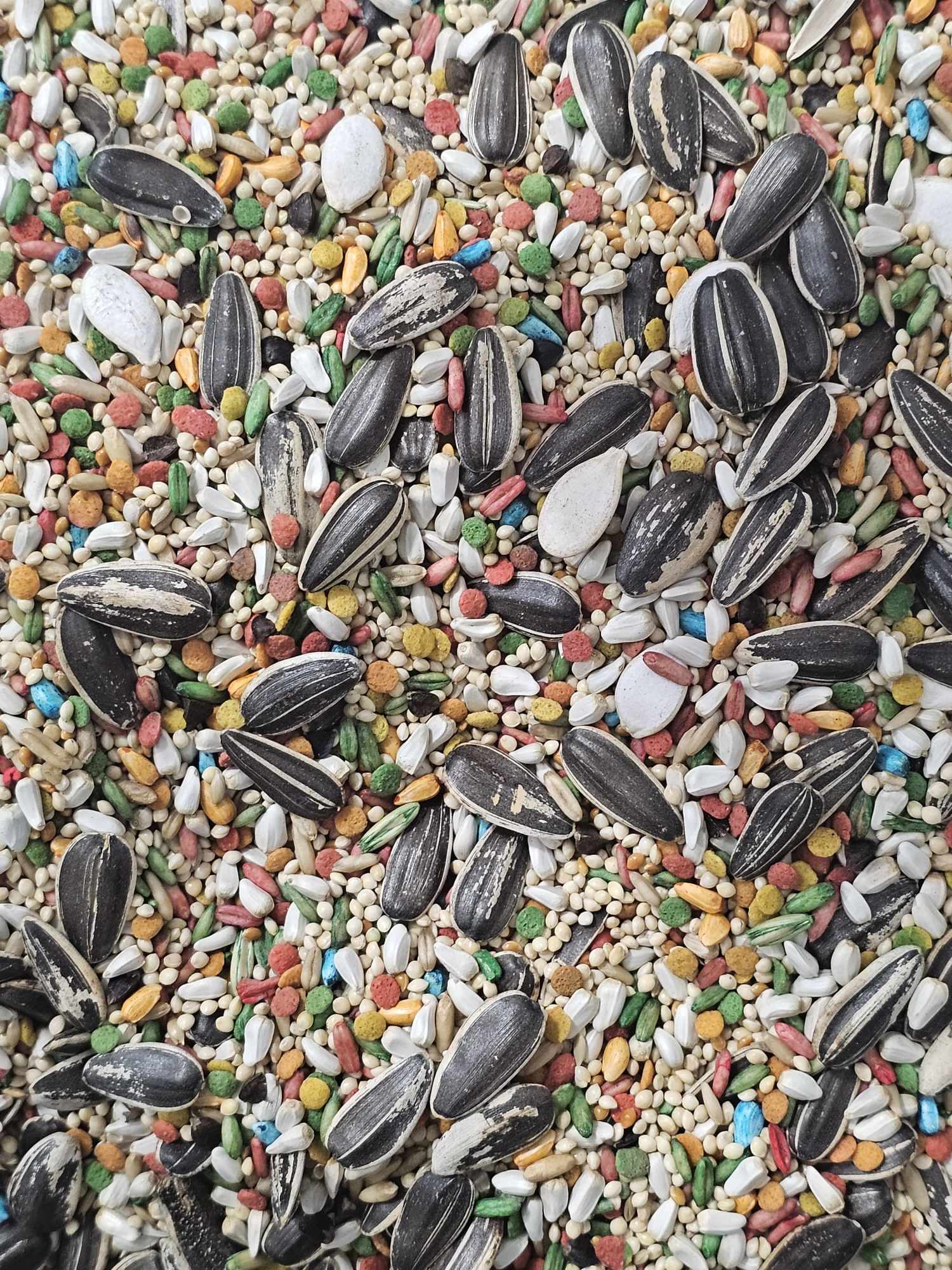 Enriched Cocktail Seed Mix