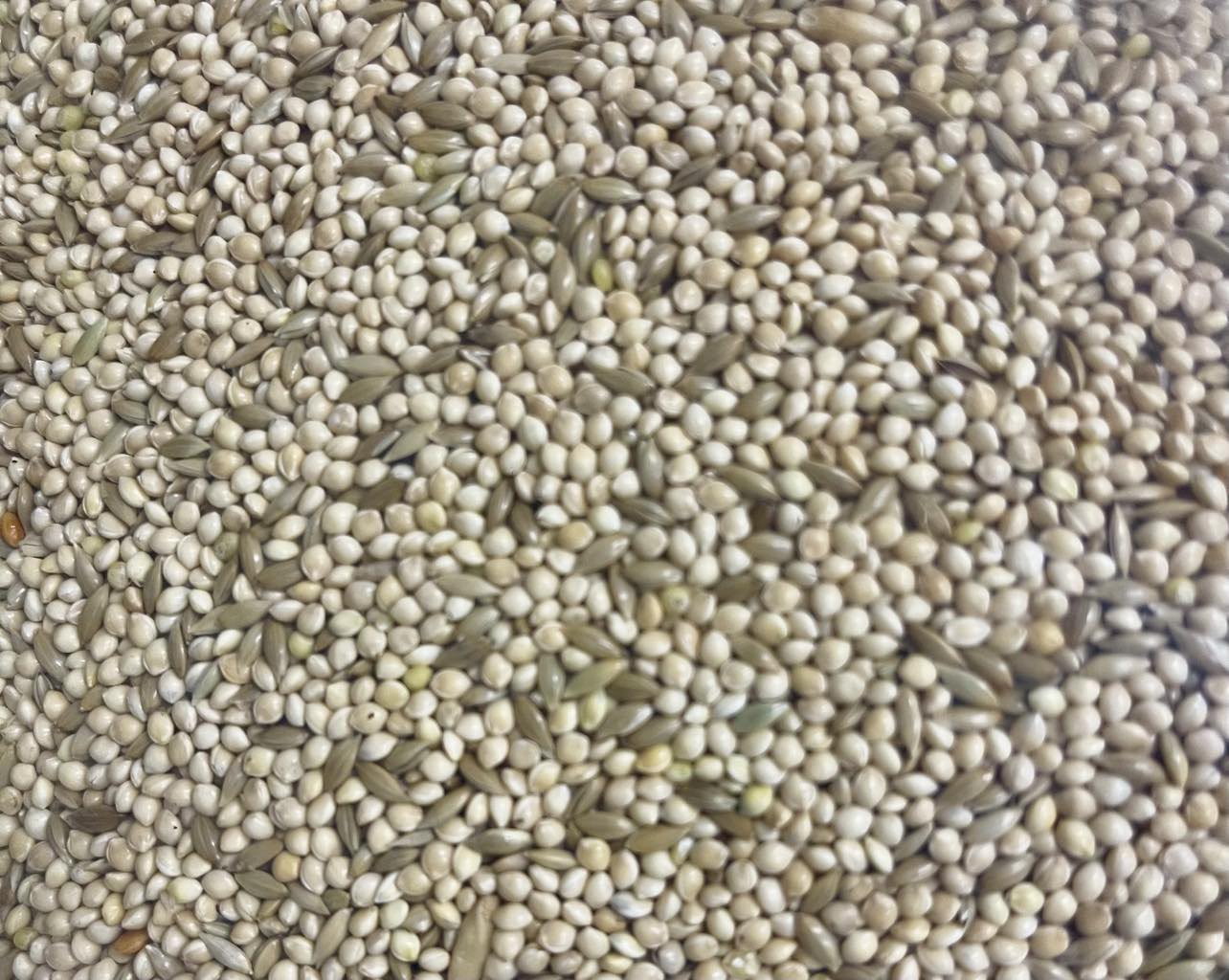 409990288_1798662913880664_169914755086413420_n