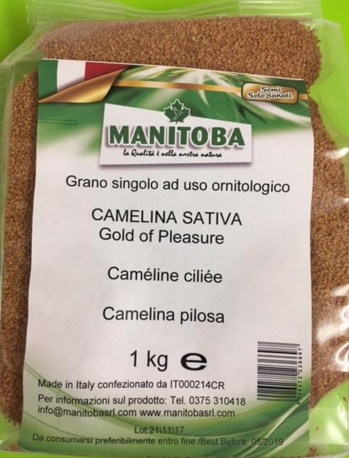 Camelina Sativa Gold
