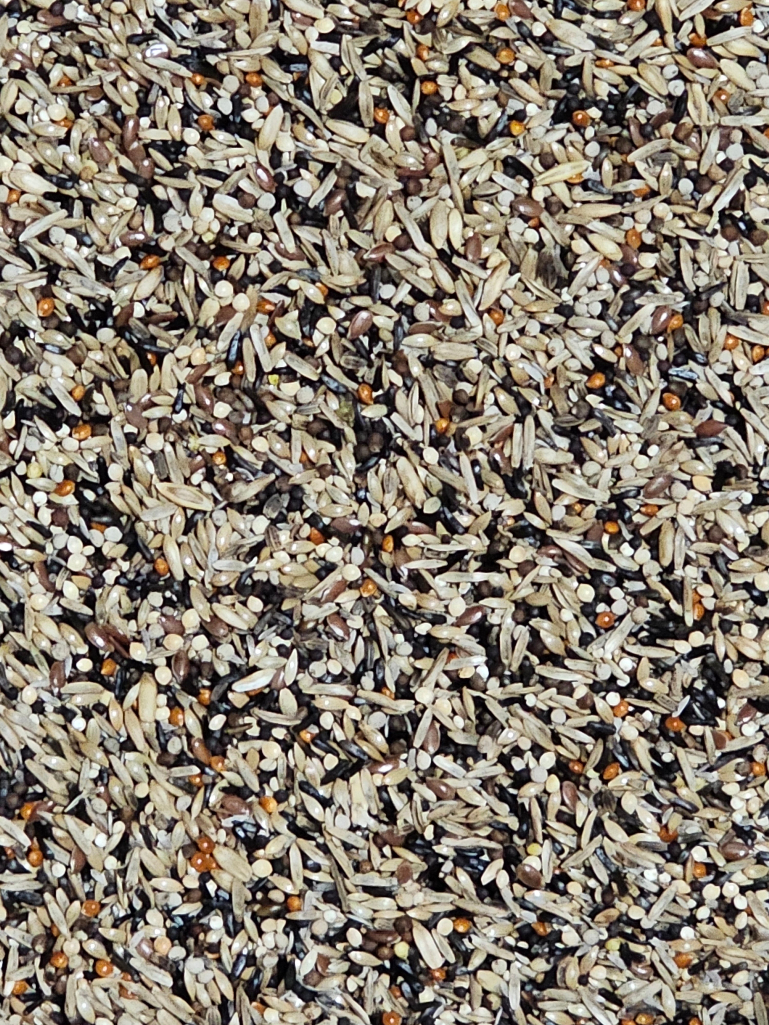 Best Condition for all birds