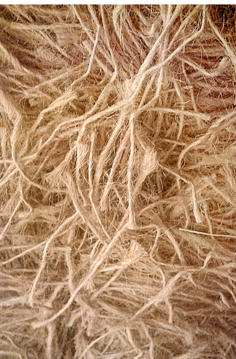 2GR Juta's Packaging Art. 294