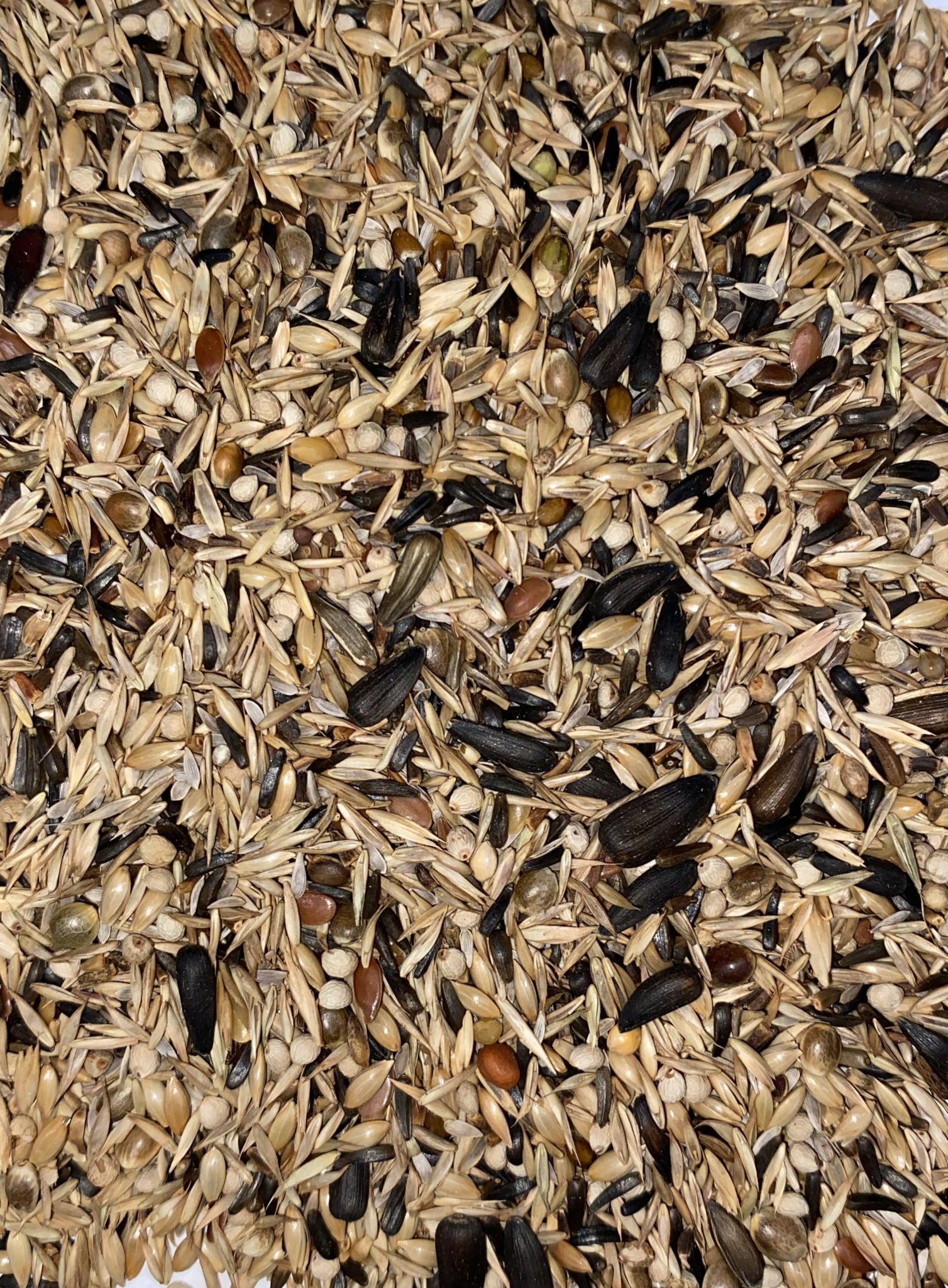 Goldfinch Performance