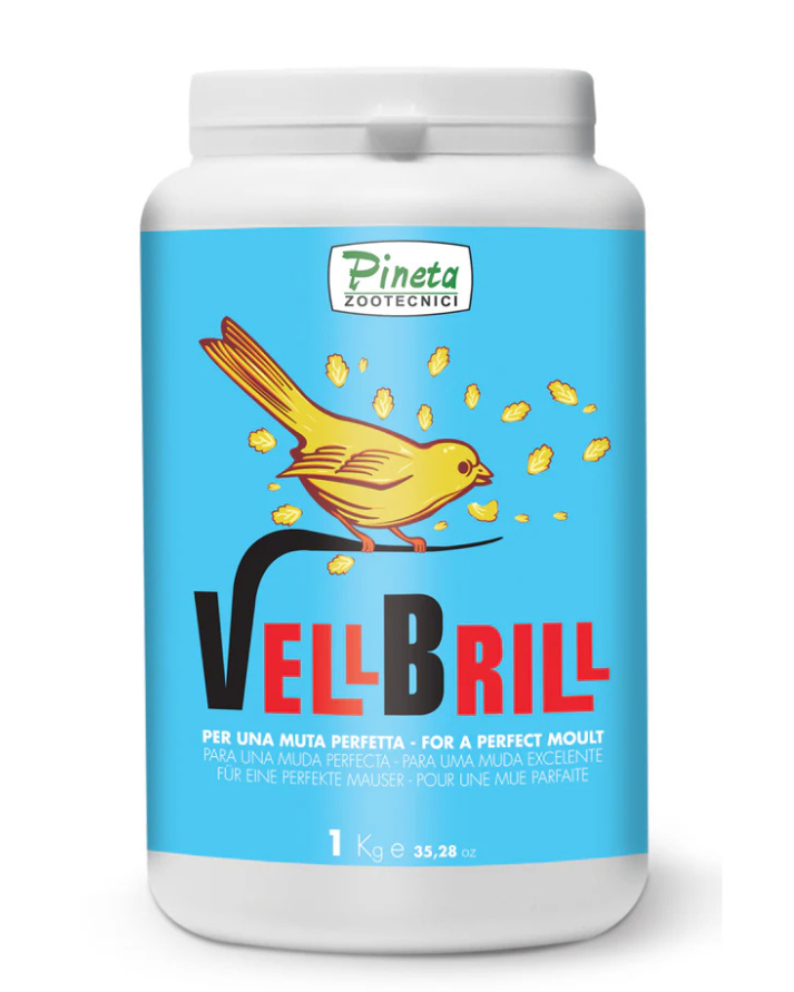 VELL BRILL 40g