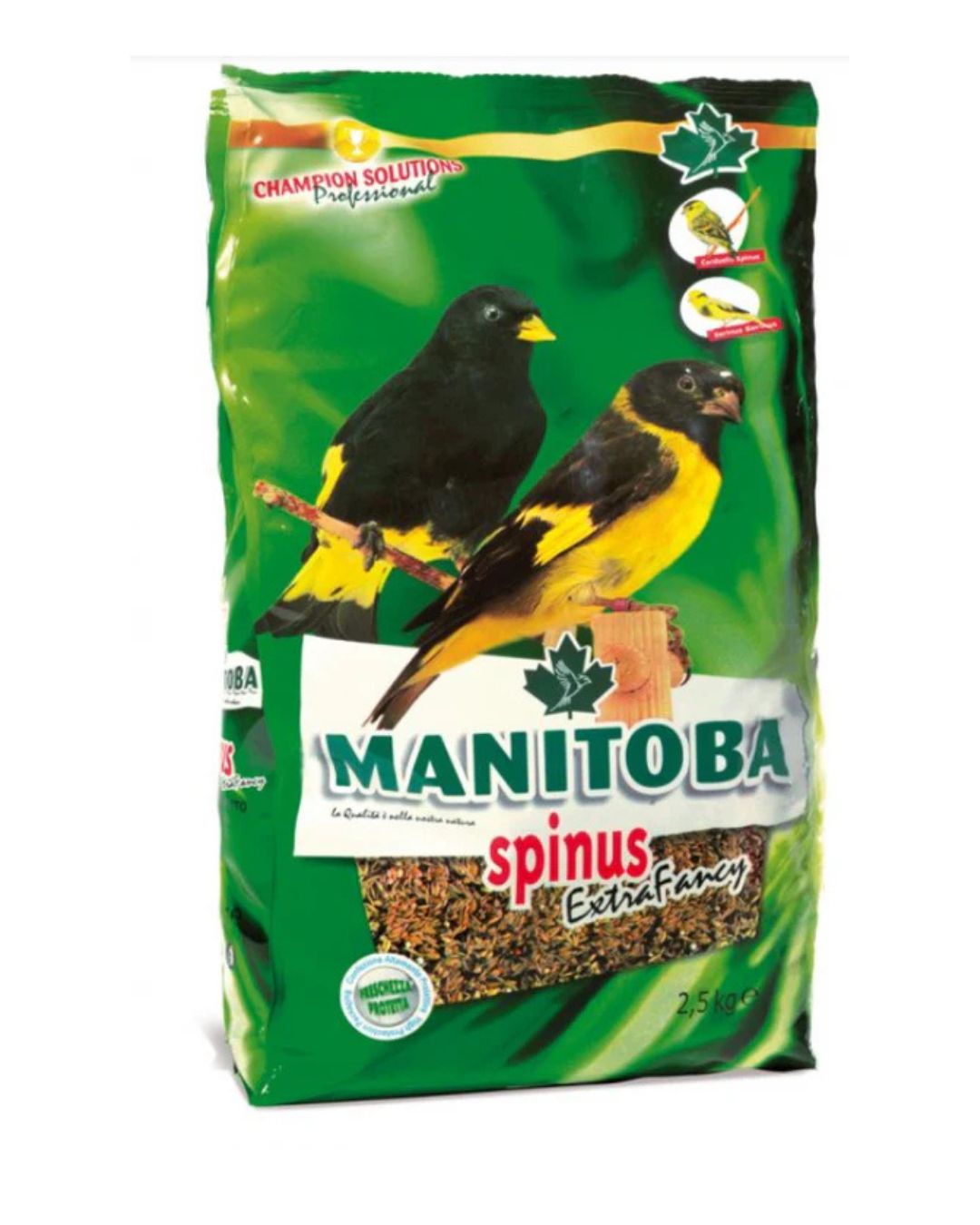 Spinus Extra Fancy