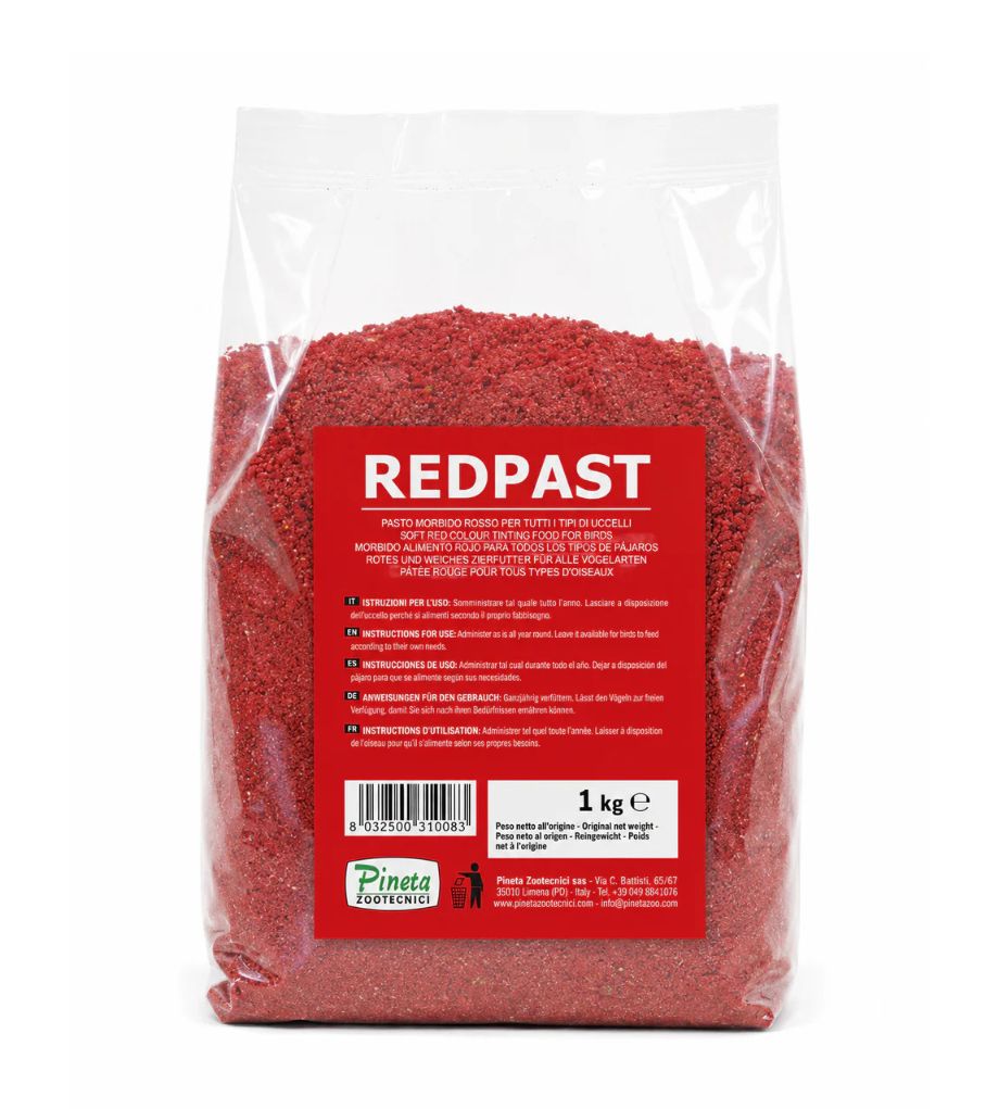 RED PAST