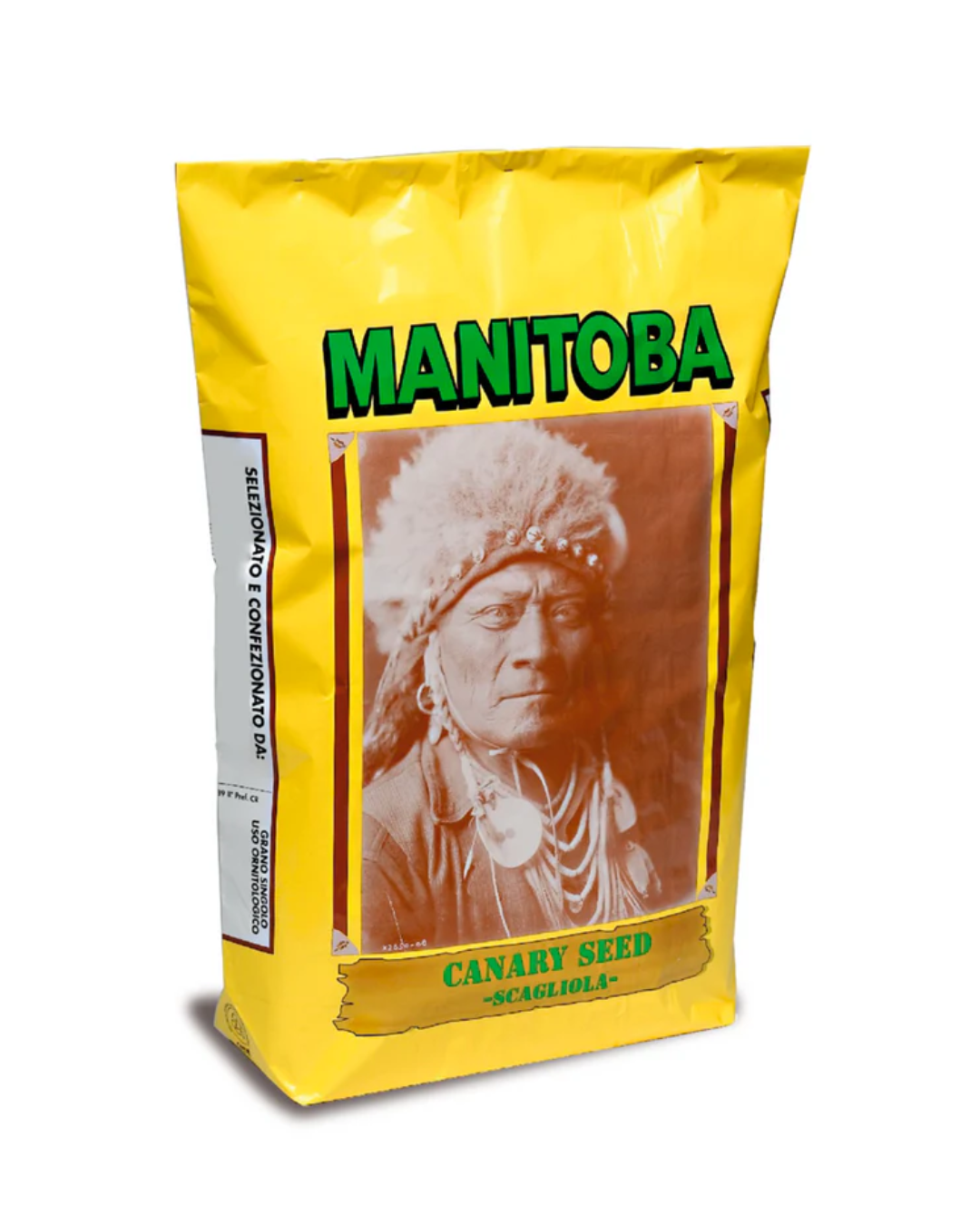 Canary Seed Scagliola