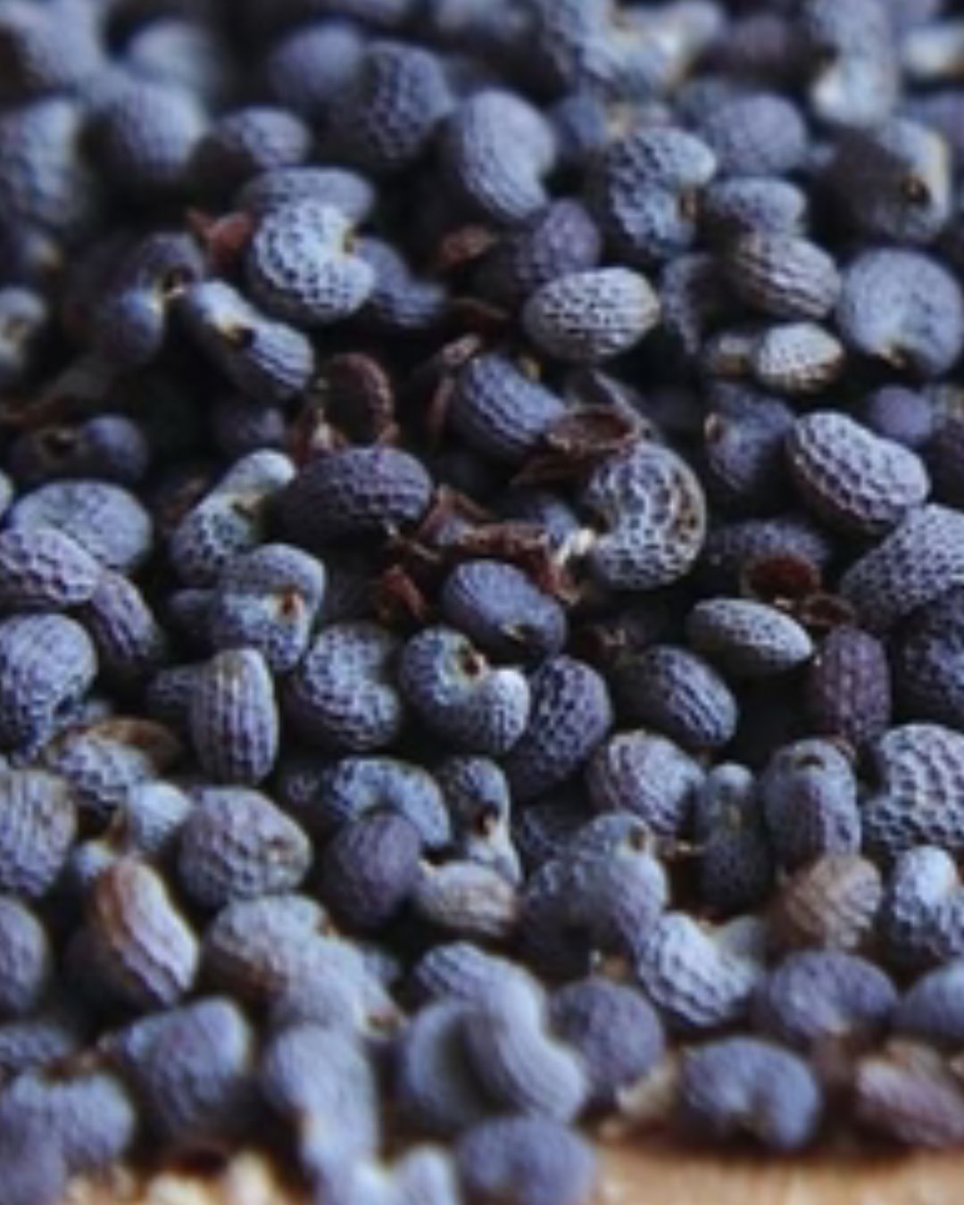 BLUE POPPY SEEDS