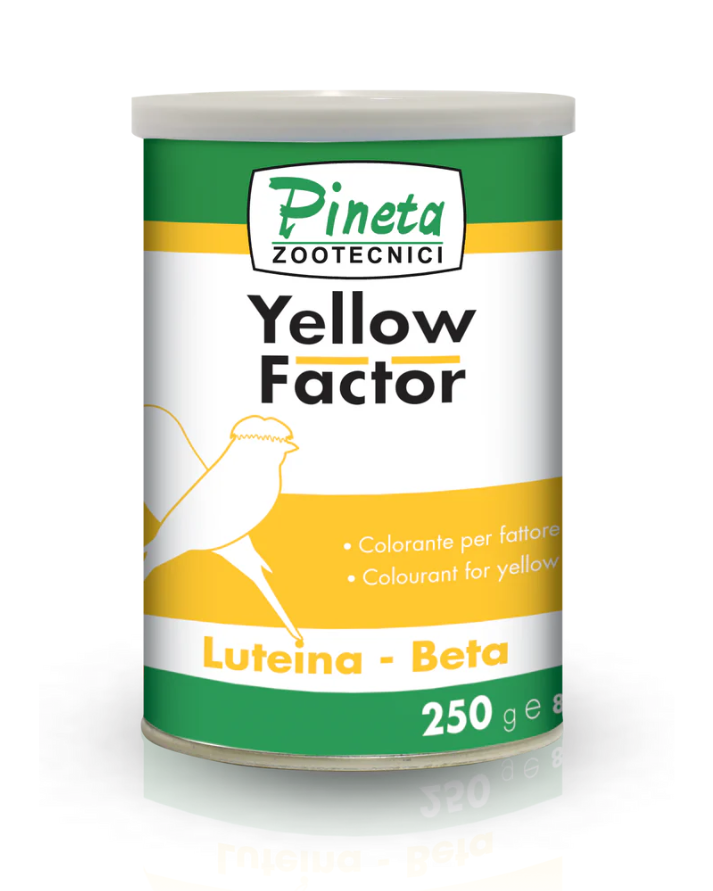 YELLOW FACTOR 100g