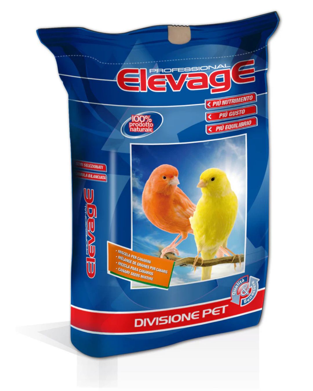 Canaries Sicily With Perilla