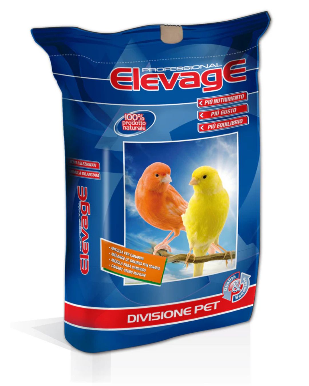 Canaries Professional Lights