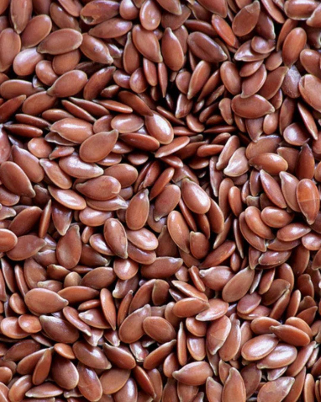 BROWN FLAX SEED