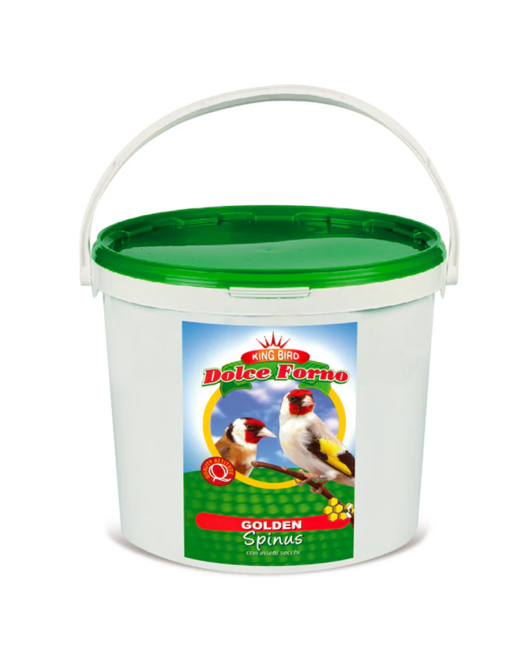 Manitoba King Golden Spinus