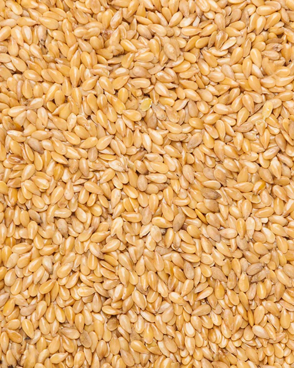 MANITOBA FLAXSEED YELLOW GOLD
