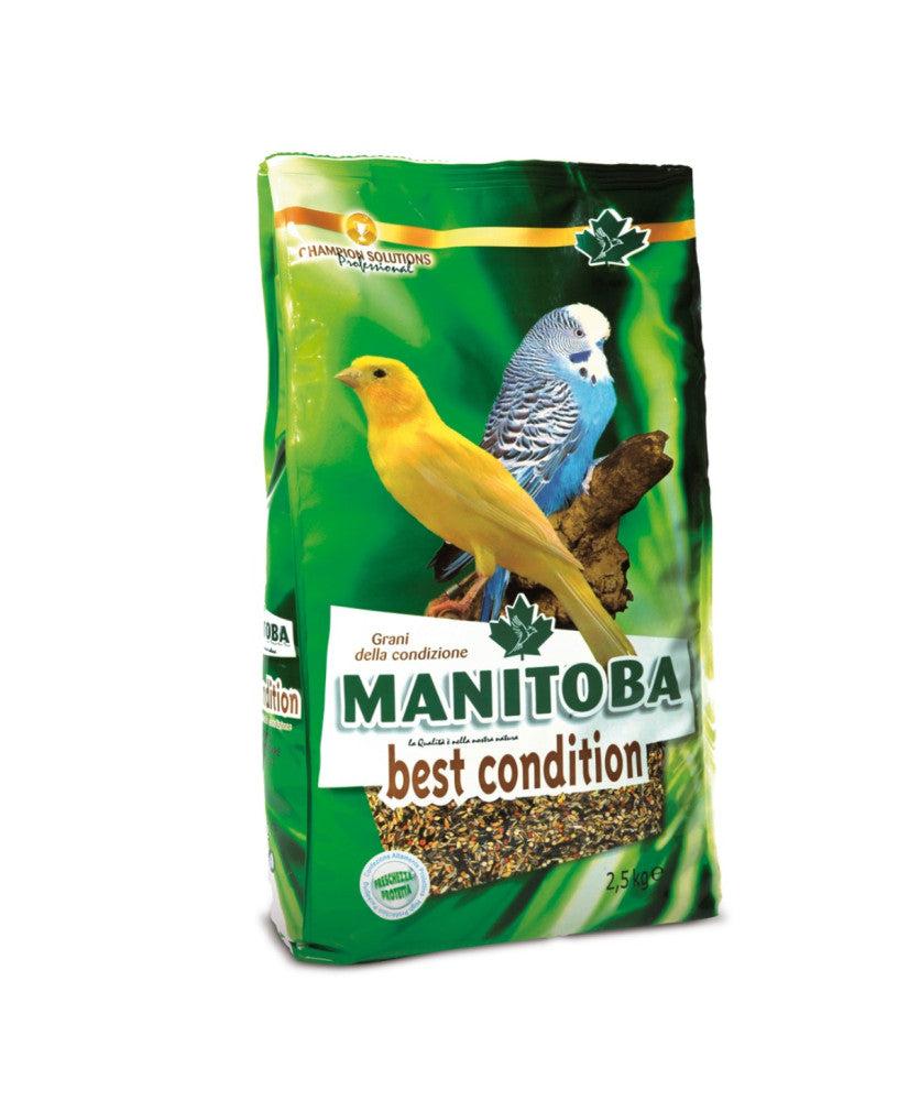 Best Condition
