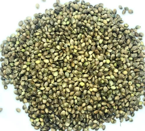 Elevage Hemp Seeds