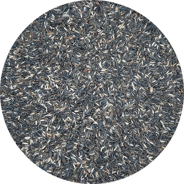 GREG GERMINATION 1253