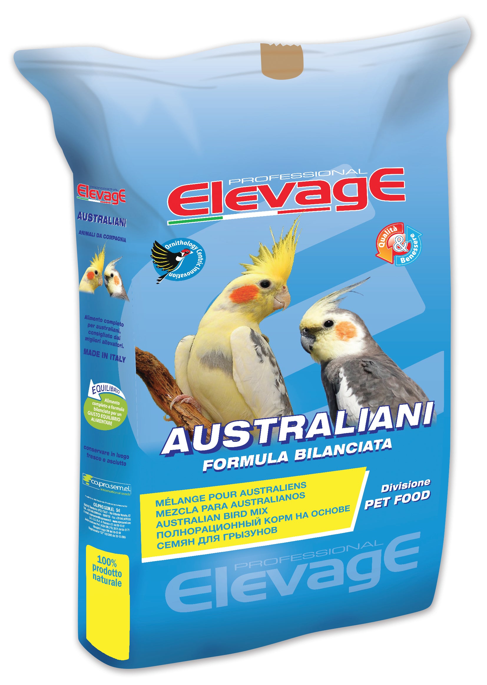 Elevage Australian Extra