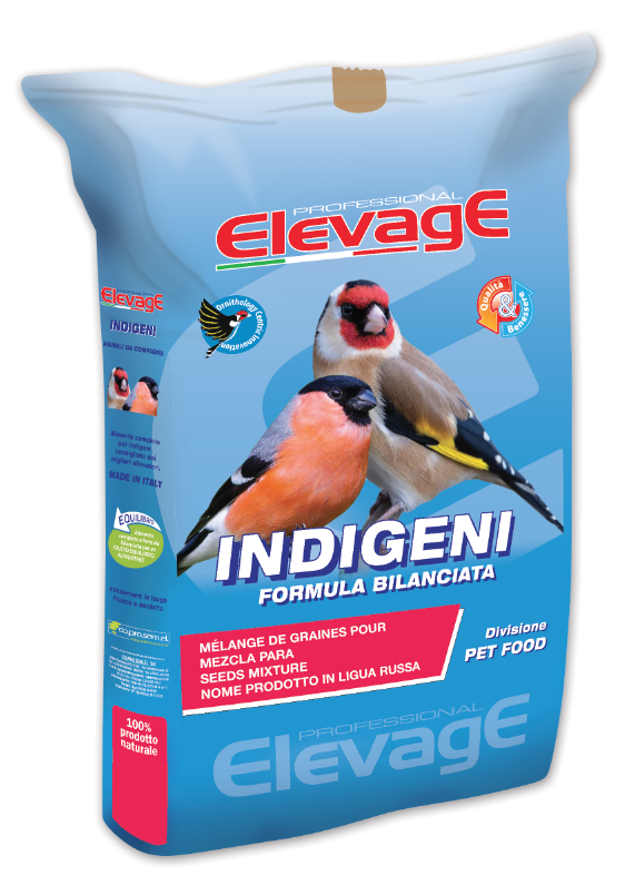 Goldfinch Performance