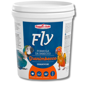 Design sans titre (12)